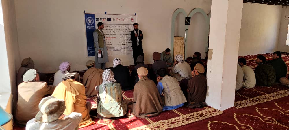 پروژه توزیع تخم بذری گندم اصلاحشده و کود کیمیاوی در ولسوالی آبشار پنجشیر معرفی شد