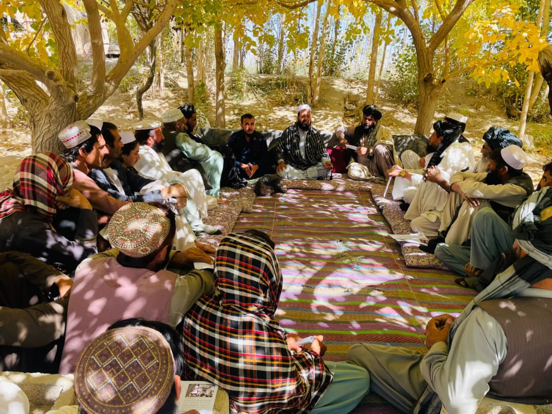 آموزش صدها دهقان در غزنی