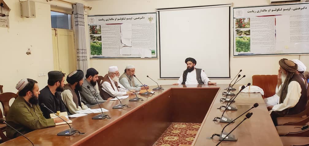 د کرنې وزارت د ځنګلونو رییس د کندهار د کرنې ریاست له چارواکو سره د همغږۍ غونډه وکړه