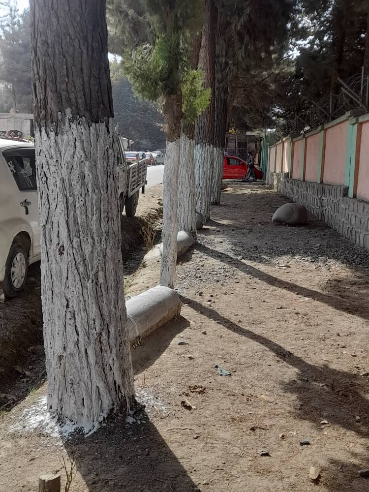 کمپاین پاککاری و زیباسازی محیطزیست در ولسوالی فرخار تخار راهاندازی شد