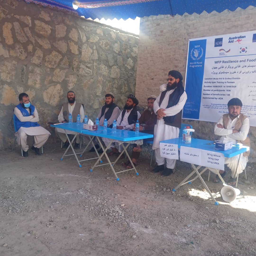 د خوست ګربزو ولسوالی کې پر سل بزګرانو د غنمو اصلاح شوي تخمونه او کیمیاوي سرې وویشل شوې