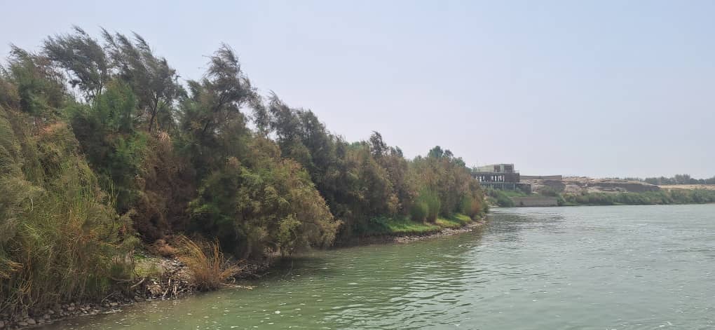 د کرنې وزارت پلاوي د هلمند په خانشین ولسوالی کې د طبیعي ځنګلونو وضعیت وڅېړه