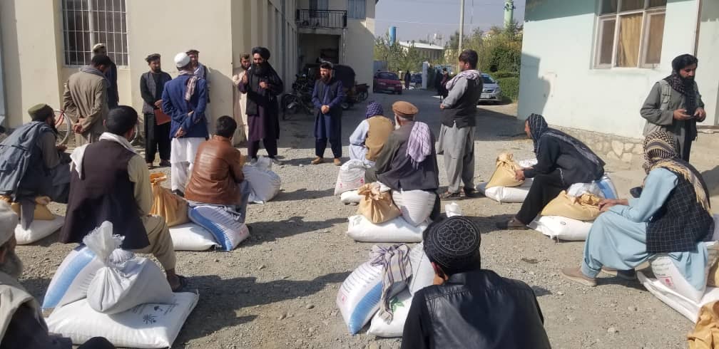 برای ۲۰ تن از دهاقین کاپیسا تخم اصلاح‌شده و کود کیمیاوی توزیع گردید