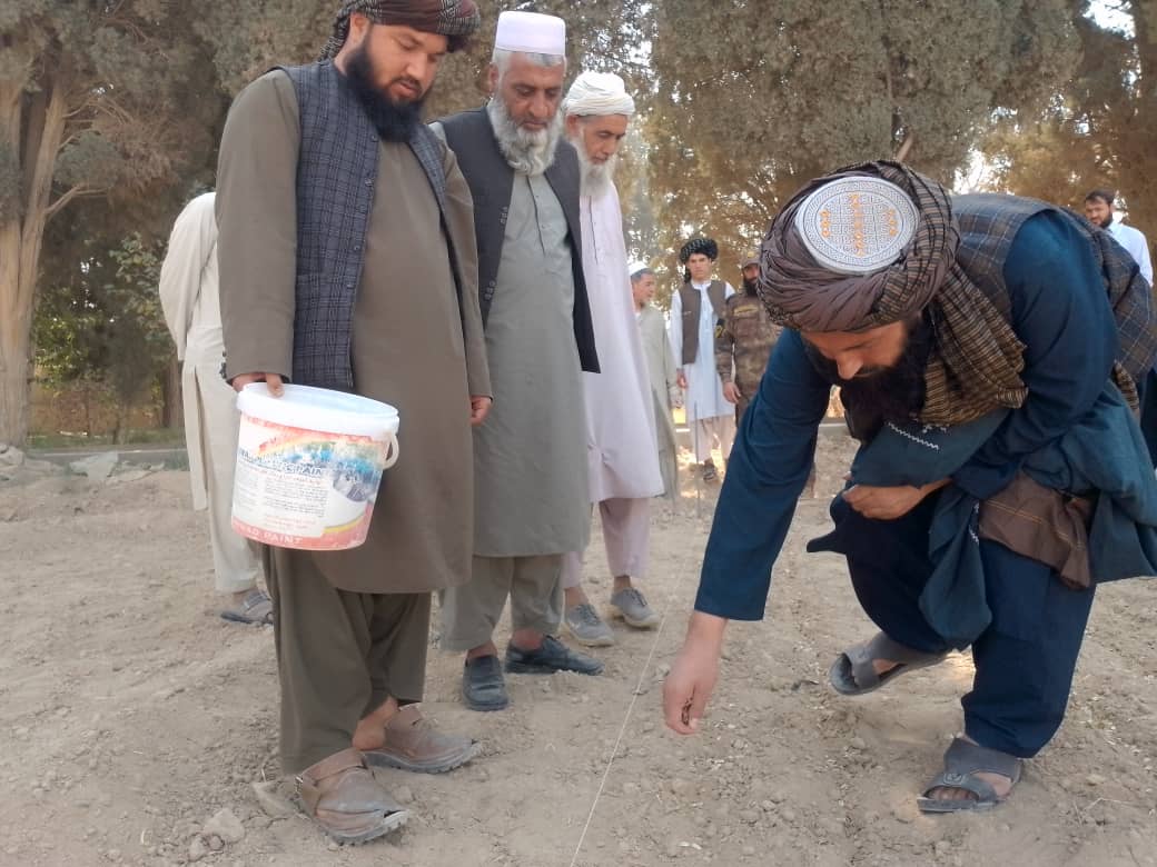 کشت هنگ در ولایت فراه پروژه جایگزین برای کاهش آب مصرفی و  کشت کوکنار