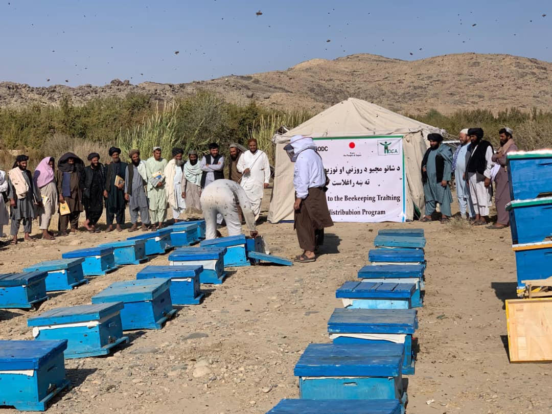 دکندهار شاولیکوټ ولسوالی کې اړمنو کسانو ته د شاتو مچیو او اړینو توکو مرسته وشوه