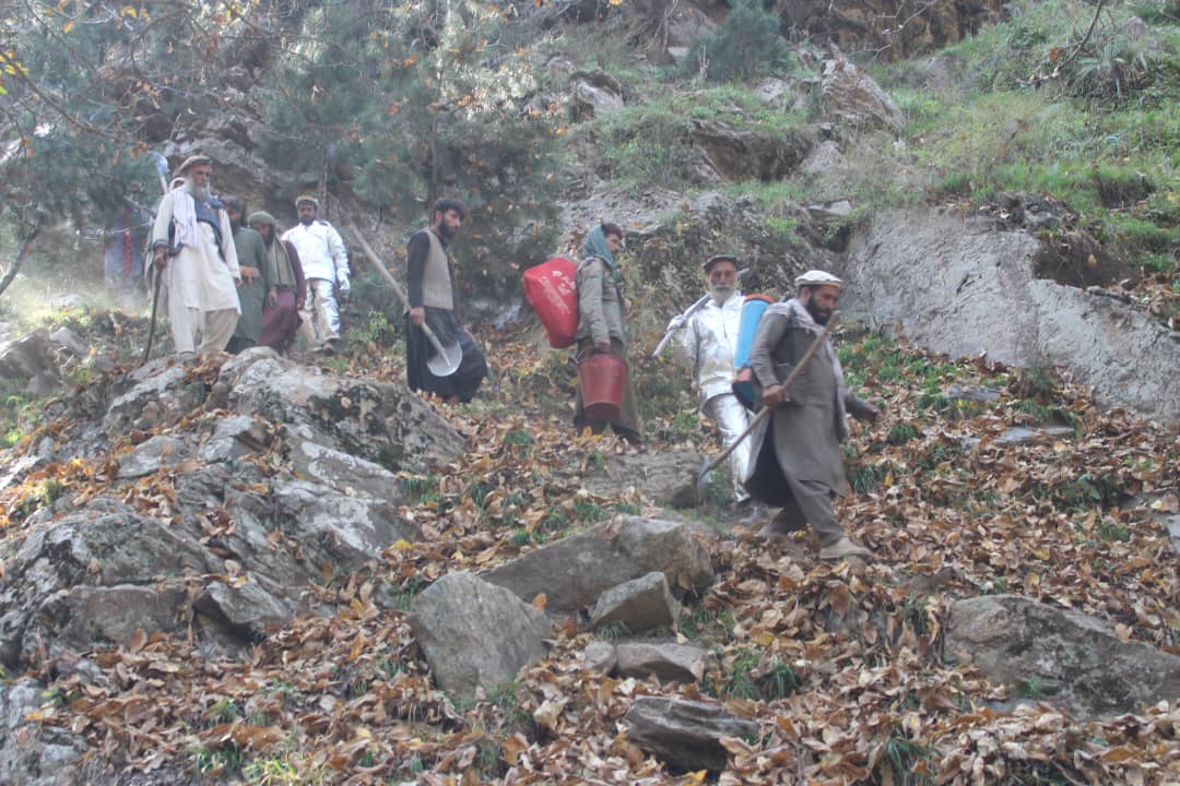 دلغمان دولت شاه ولسوالی دګډیالې ځنګل کې لګېدلی اور مهار شو