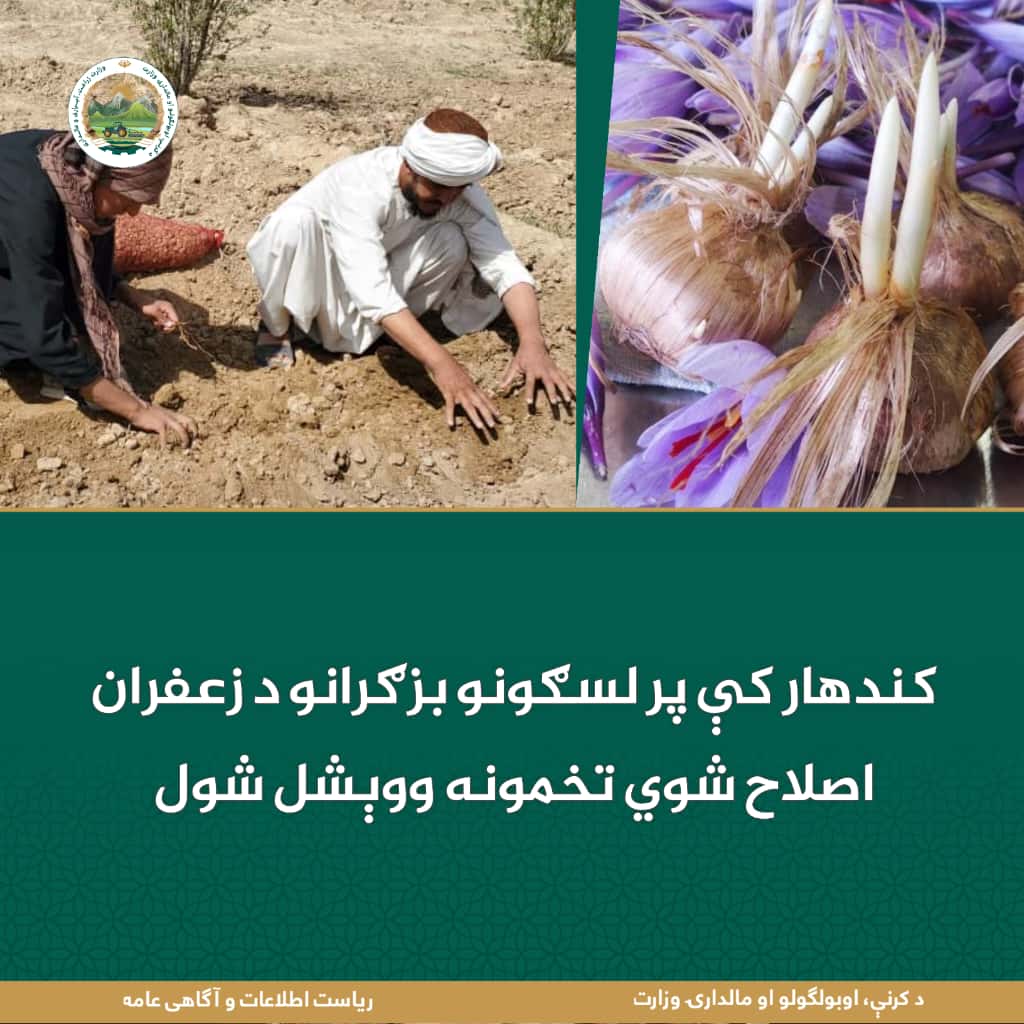 د ورځ مهمی خبری