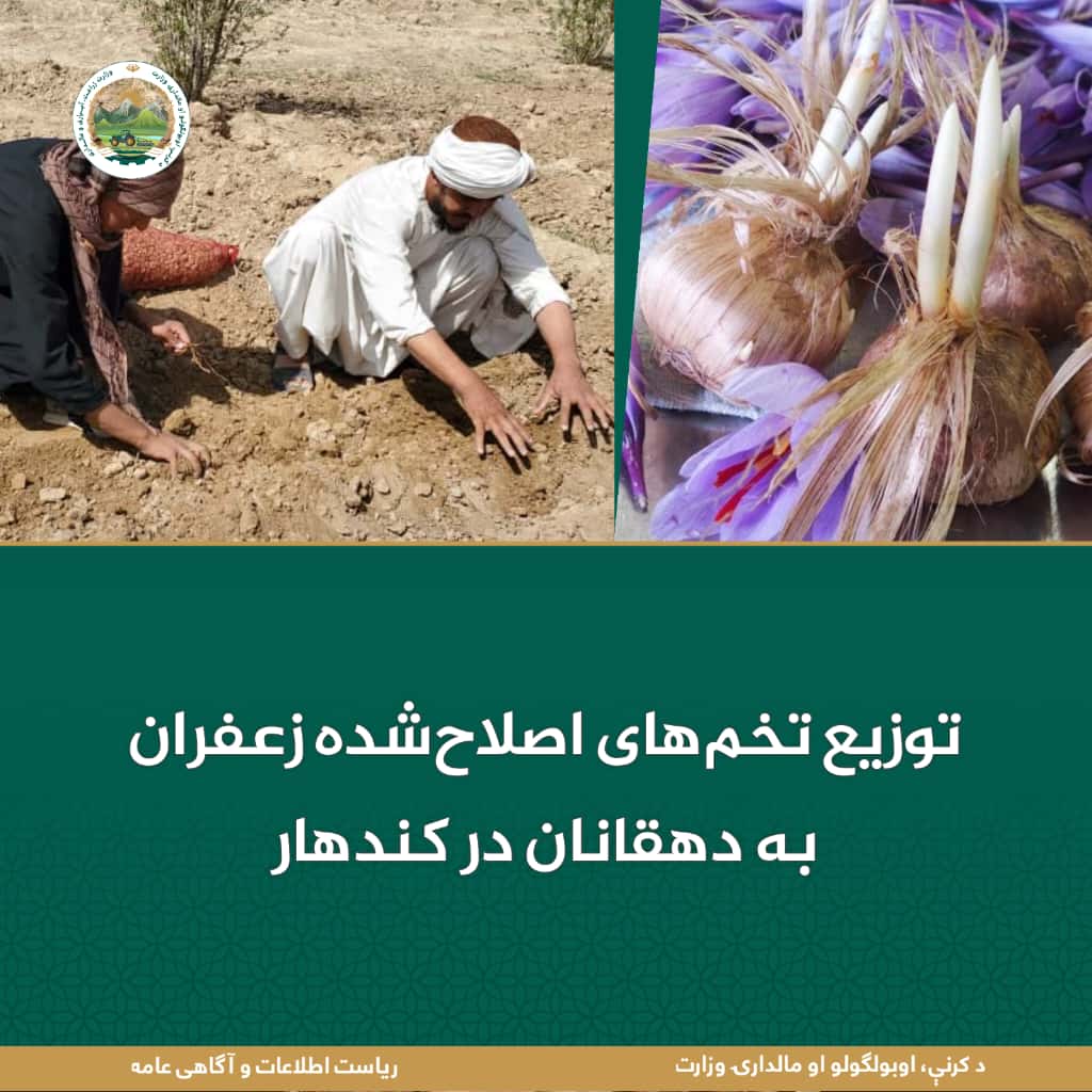 خبرهای مهم روز