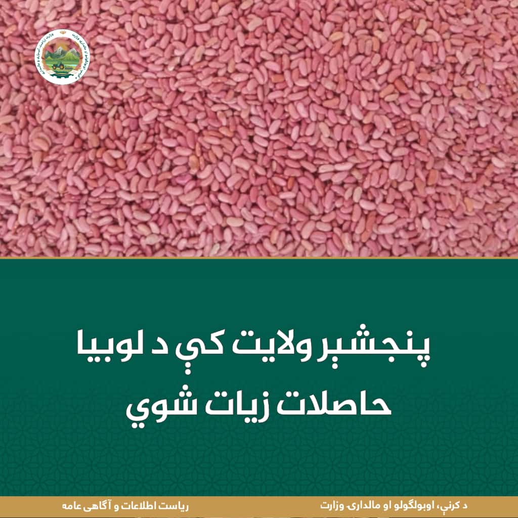د ورځ مهمی خبری