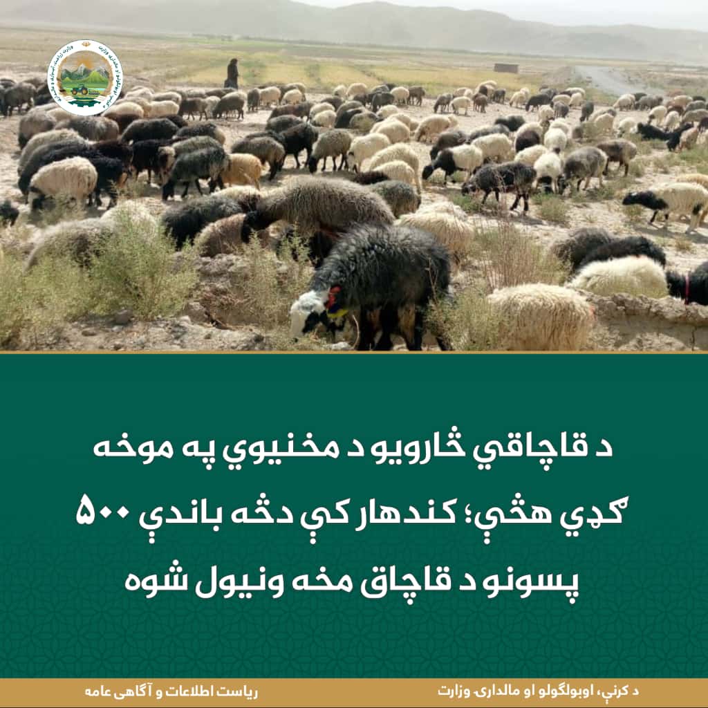 د ورځ مهمی خبری