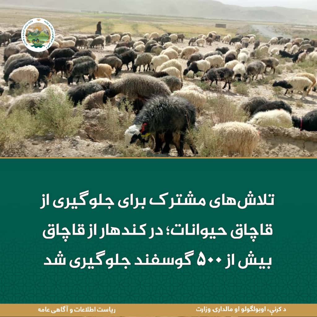 خبرهای مهم روز