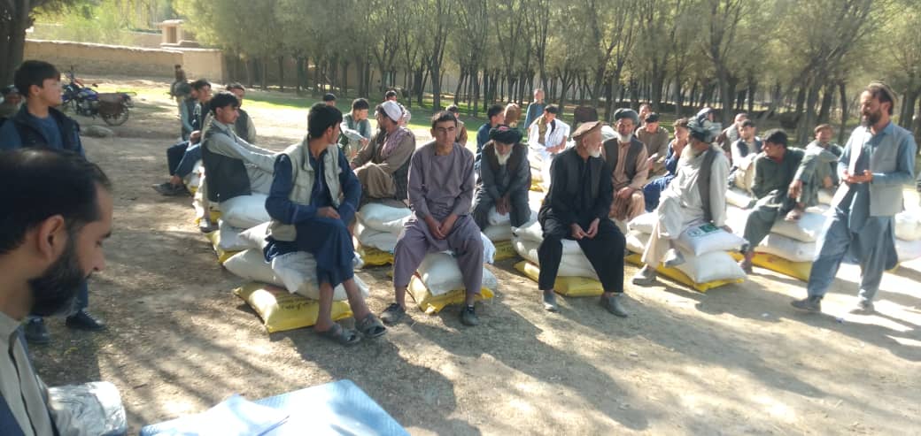 آغاز توزیع تخم بذری گندم و کود کیمیاوی در ولسوالی درایم بدخشان