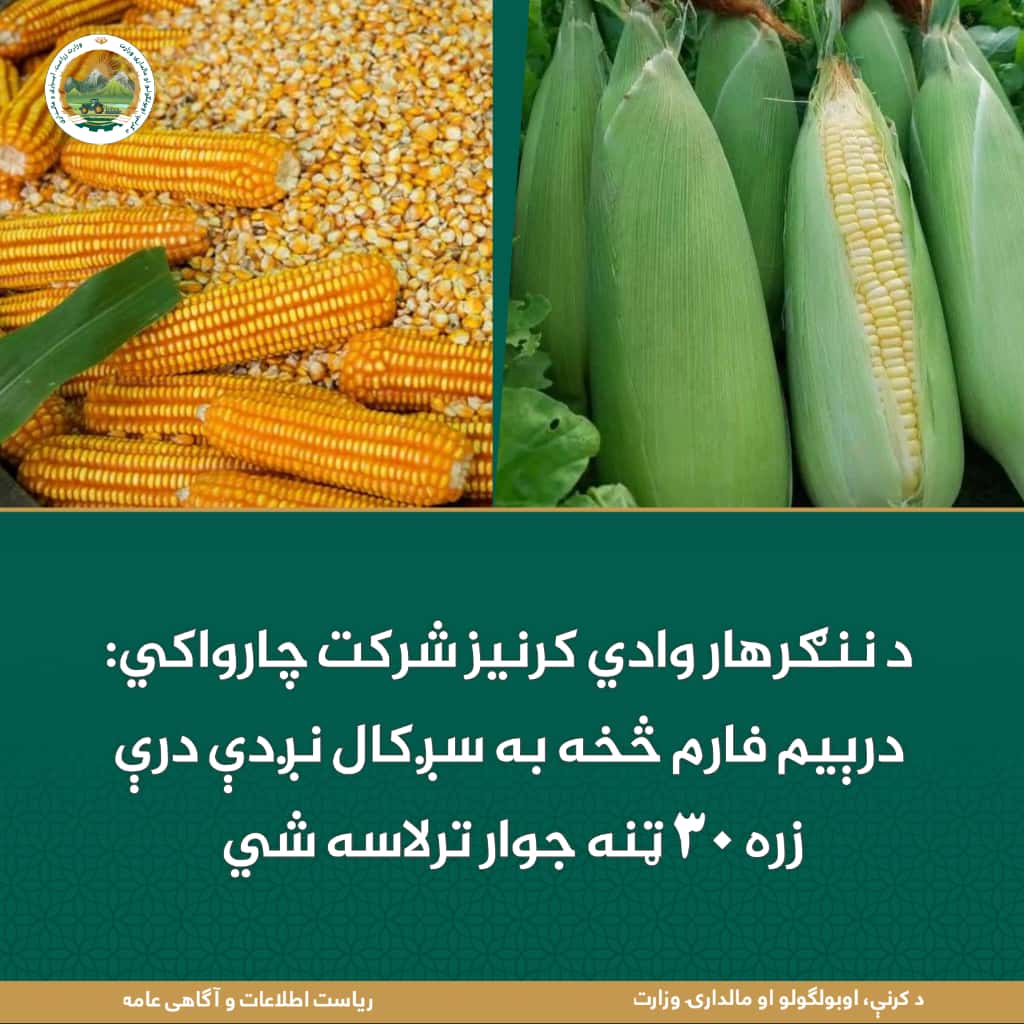 د ورځ مهمی خبری