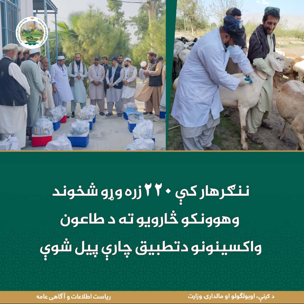 د ورځ مهمی خبری