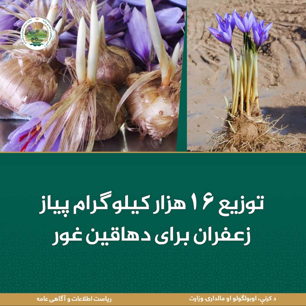 خبرهای مهم روز