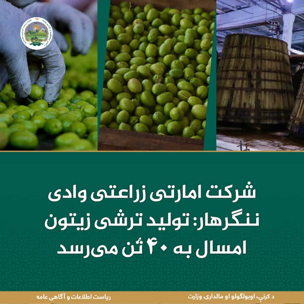 خبرهای مهم روز