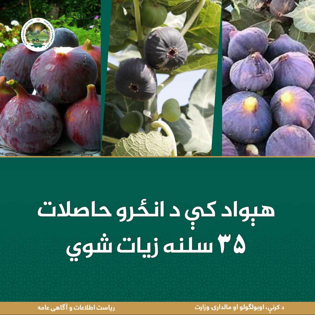 د ورځ مهمی خبری