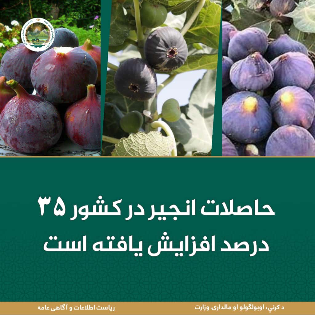 خبرهای مهم روز