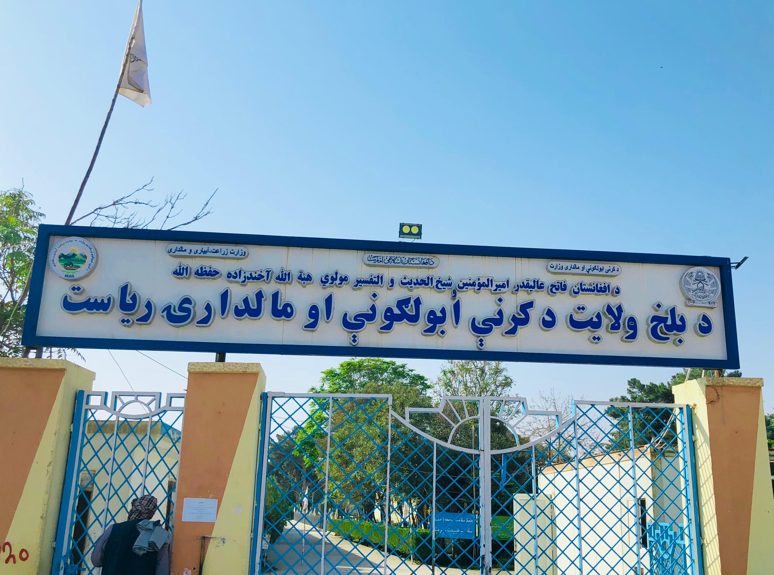د بلخ چهار بولک ولسوالی کې پر یوشمېر بزګرانو د غنمو اصلاح شوي تخم او کیمیاوي سرې ووېشل شوې