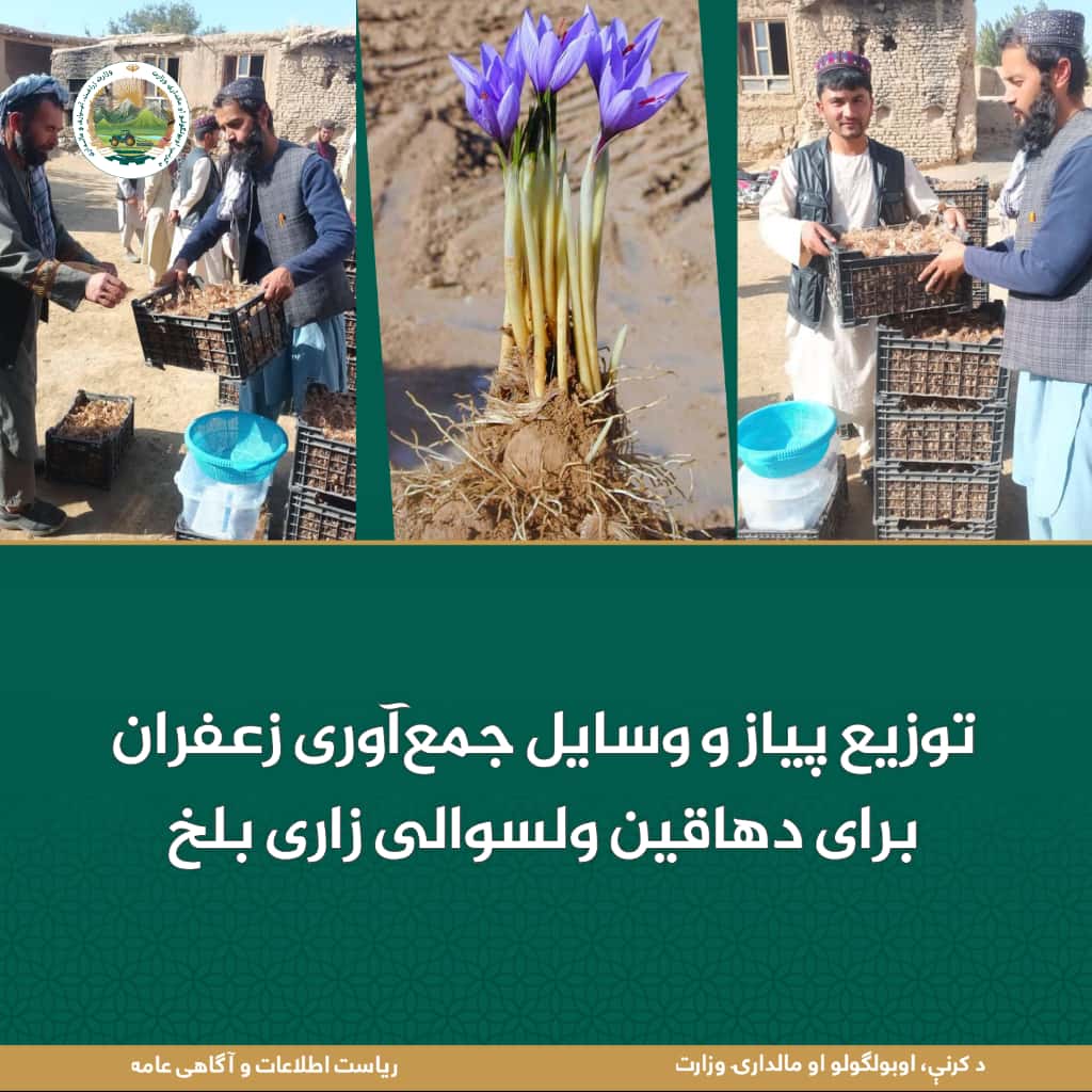 خبرهای مهم روز