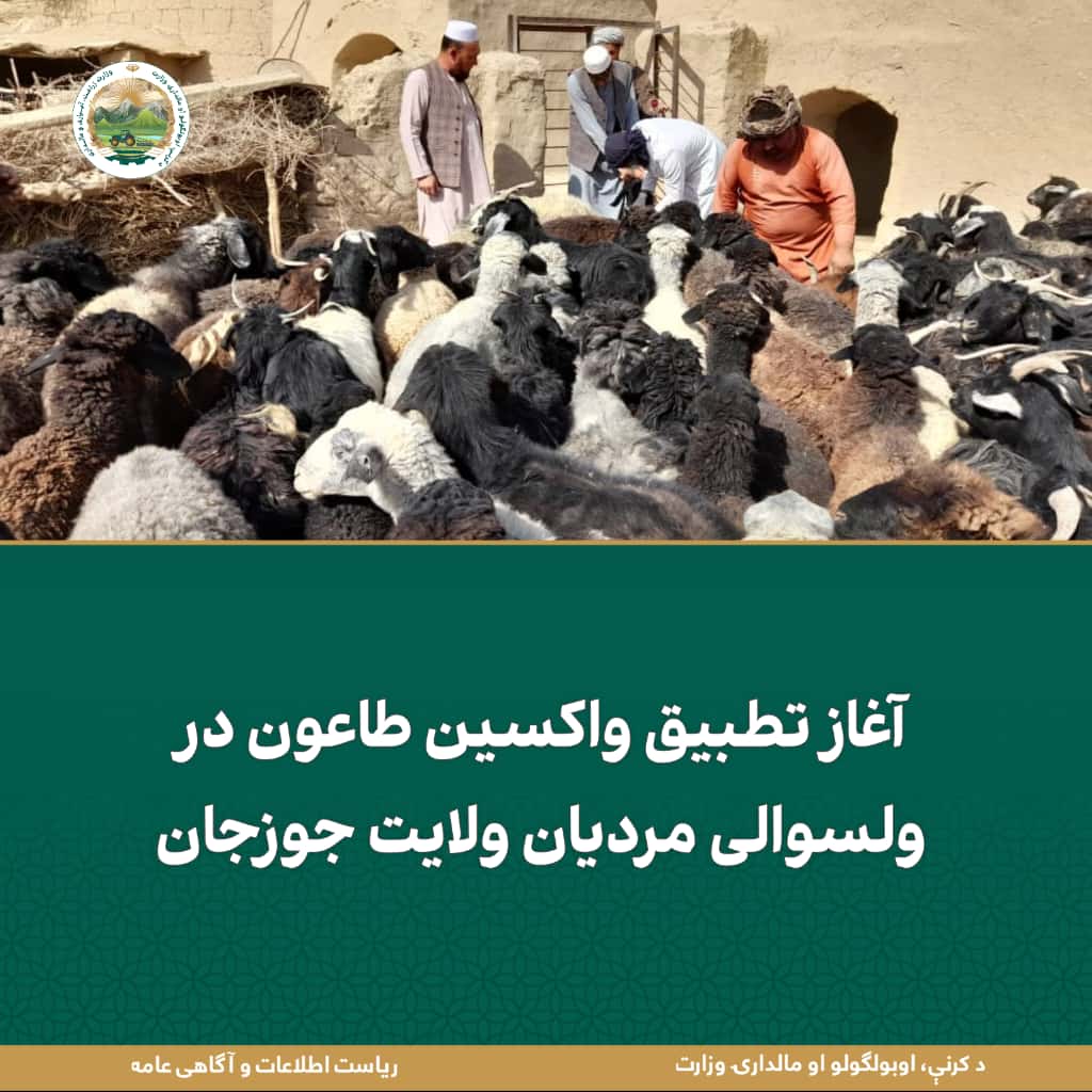 خبرهای مهم روز