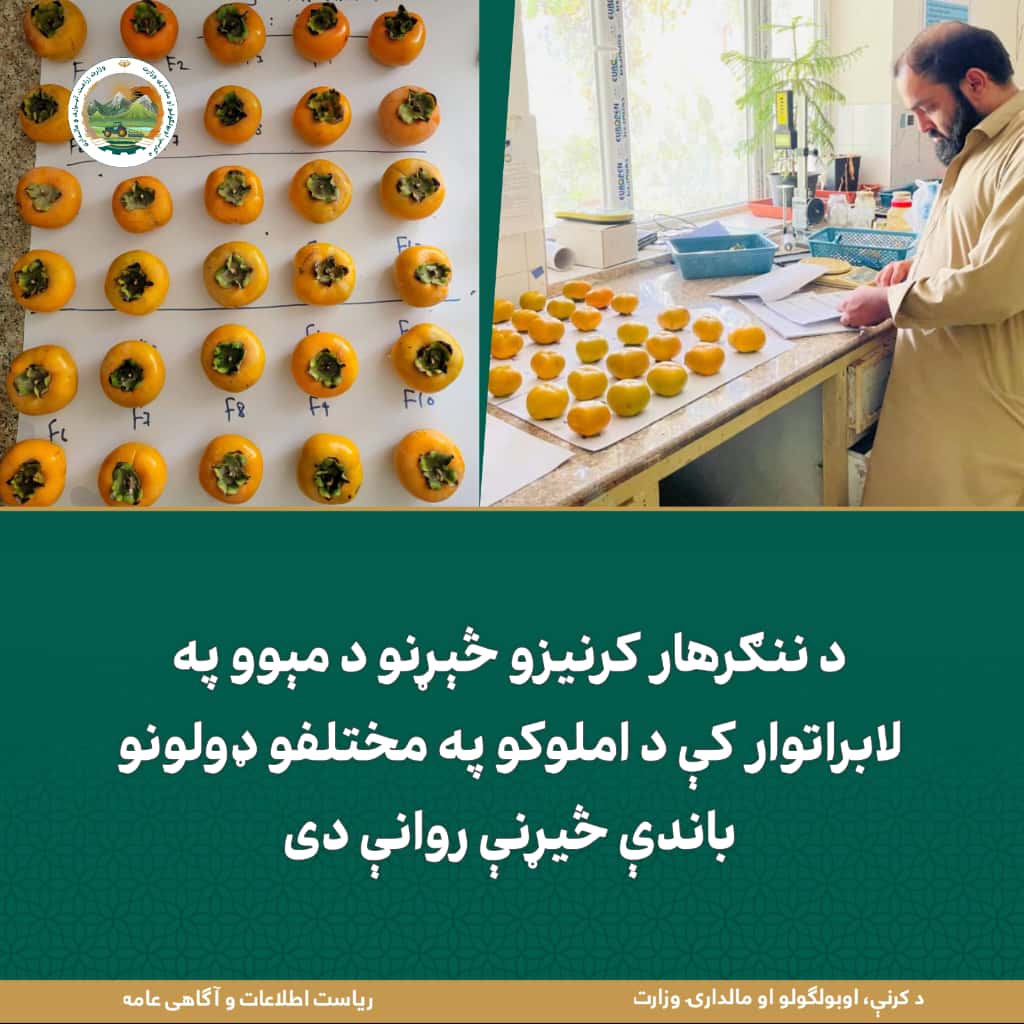 د ورځ مهمی خبری