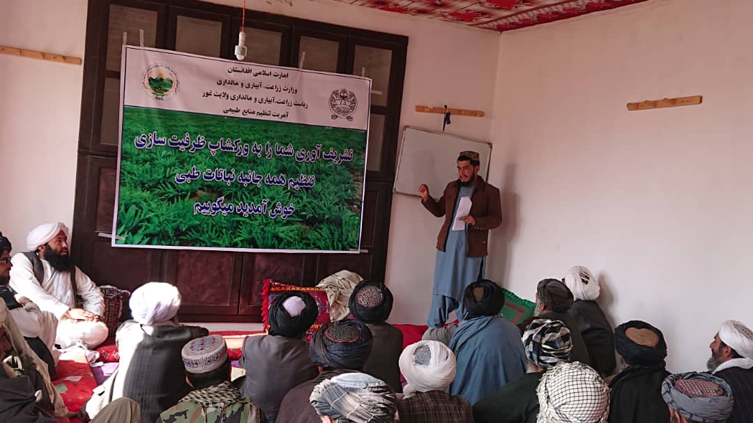 برگزاری ورکشاپ ظرفیت‌سازی برای دهقانان ولسوالی پسابند ولایت غور