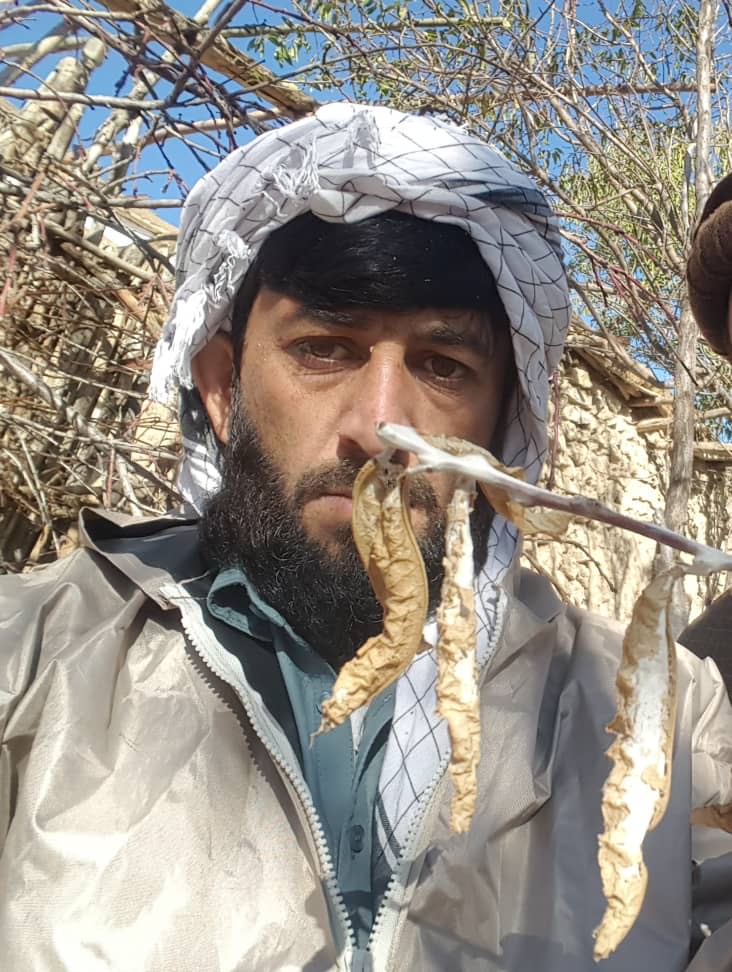 آغاز کمپاین مجادله میخانیکی علیه مورپتدار در چهار ولسوالی بدخشان