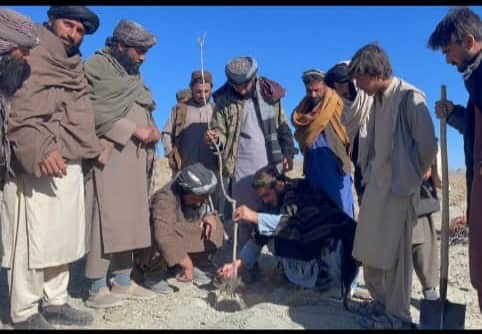 پکتیکا کې د ځنګلونو د بیا رغونې په پار د چهارمغزو او سرسبزۍ پروژه عملي کېږي