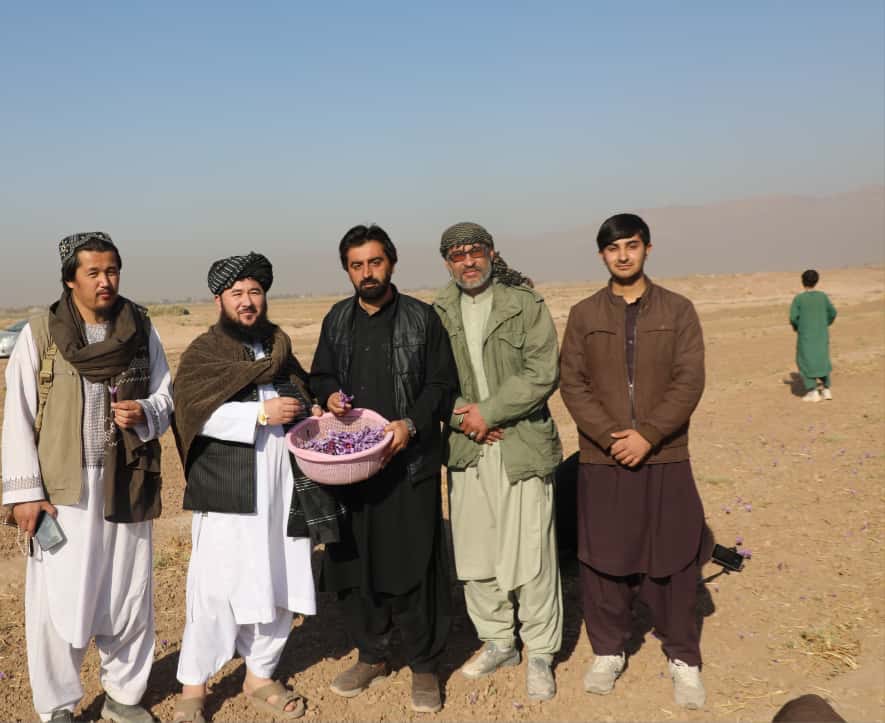 دیدار رئیس اطلاعات و آگاهی عامه وزارت زراعت با زعفران‌کاران ولسوالی انجیل هرات