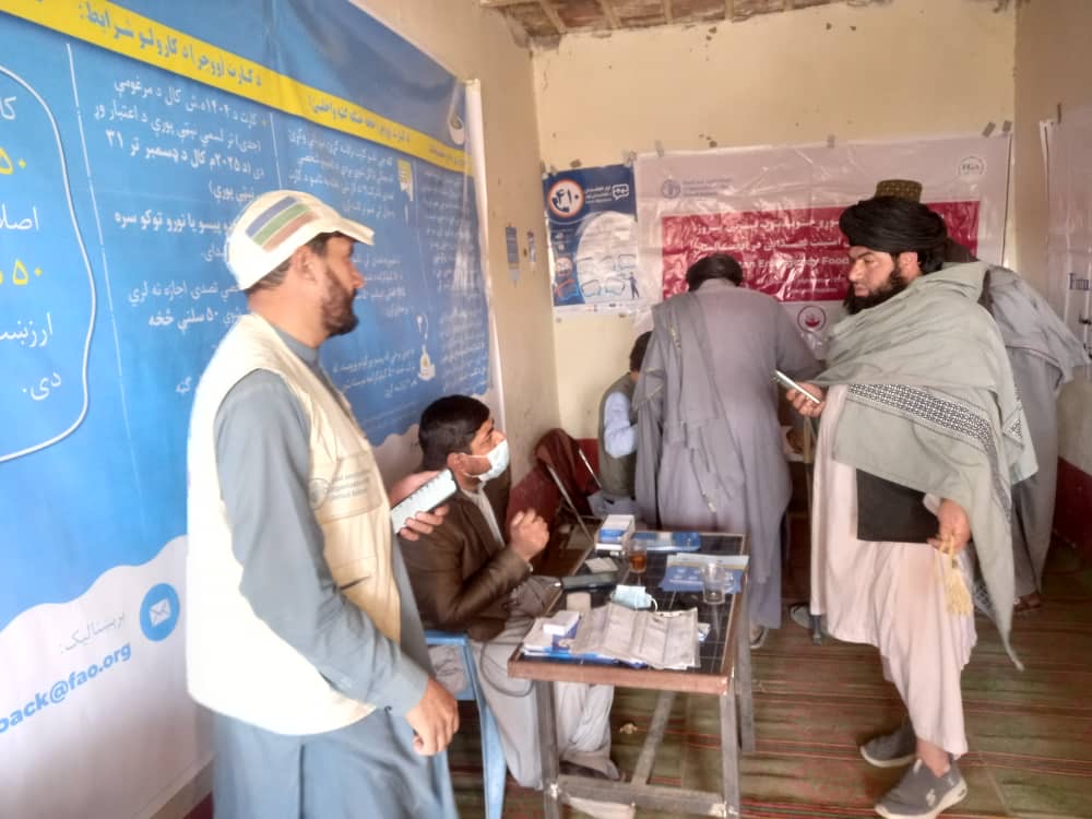 دهلمند ناوې ولسوالی کې د غنمو اصلاح شوي تخمونو د وېش لړۍ پيل شوه