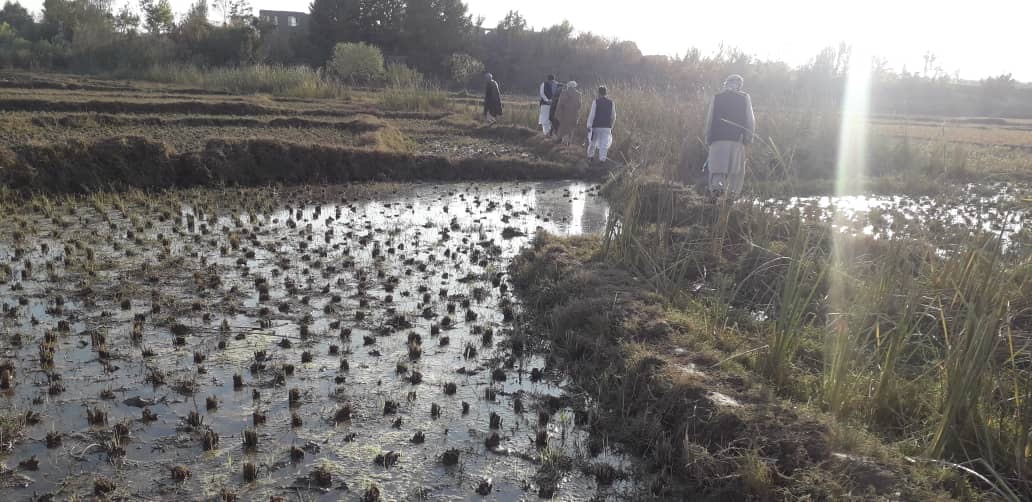 سفر مطالعاتی هیئت ریاست زهکشی و اصلاح زمین‌های زراعتی به ولایت بلخ