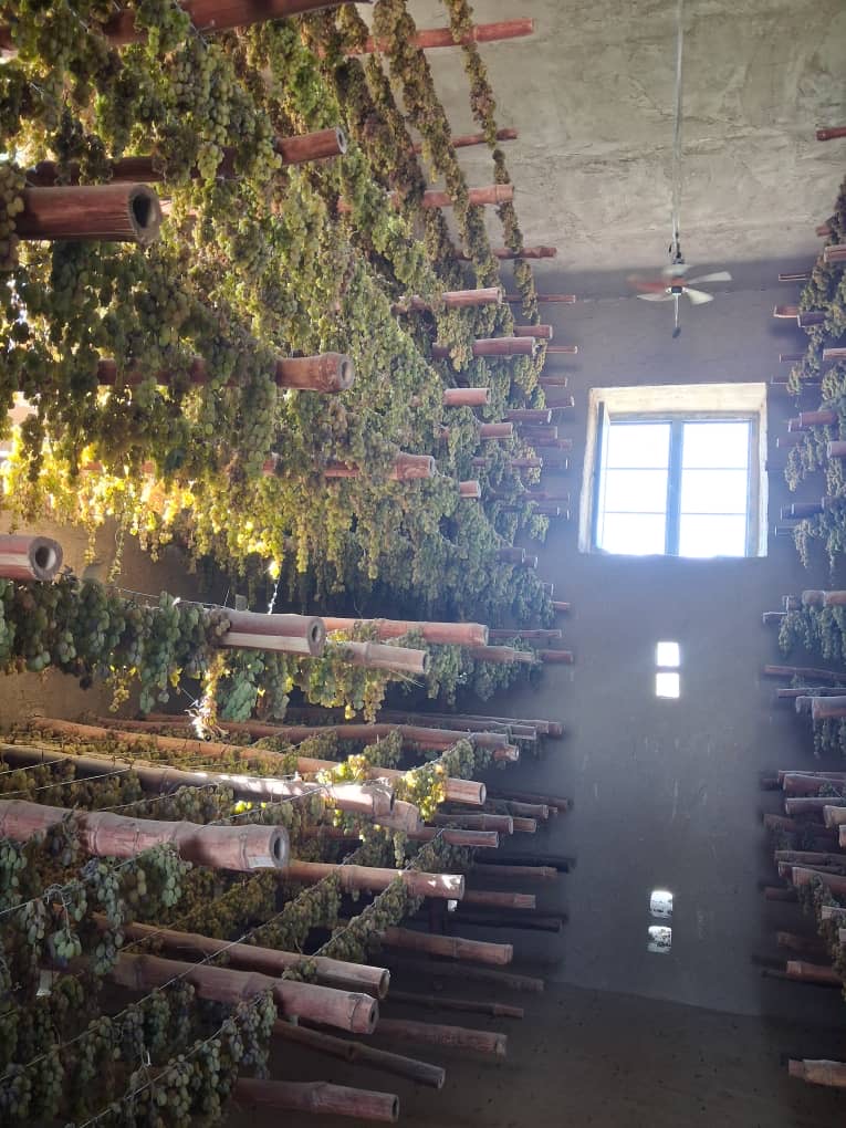 غزني ولایت کې د ممیزخونو او زېرمتونونو د جوړېدو چارې بشپړې او مستفیدینو ته وسپارل شوې