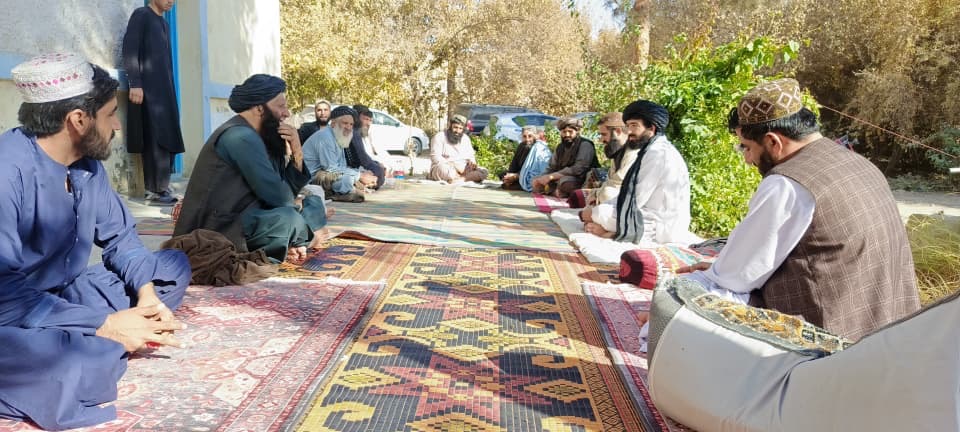 هلمند کې د مالدارۍ سکتور د ودې او پراختیا په پار نوې هڅې پیل شوې دي