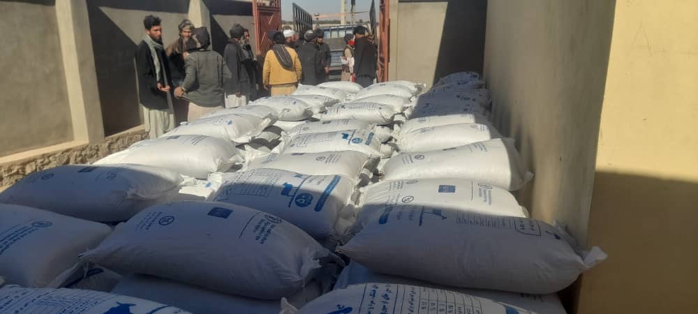 ادامه توزیع علوفه حیوانی در ولسوالی زنده‌جان هرات