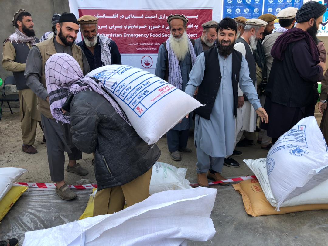 توزیع گندم بذری اصلاحشده و کود کیمیاوی در ولایت کاپیسا آغاز شد