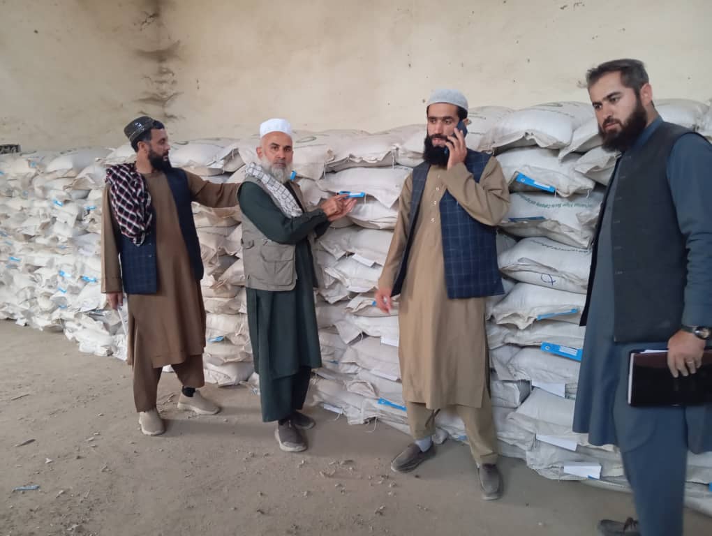 ارزیابی گندم بذری اصلاح‌شده و کود کیمیاوی در ولسوالی‌های تخار 