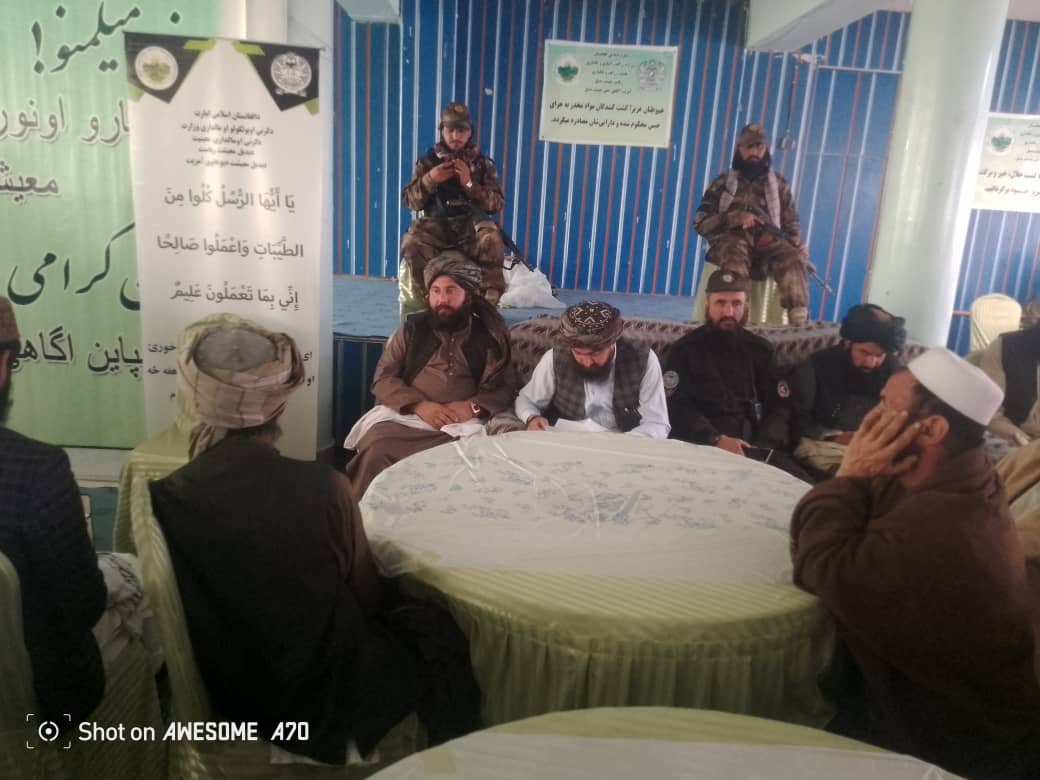 غزني کې دبدیل معیشت او د کوکنارو او نورو مخدره توکو تولیدونکوبوټو دزیانونو په اړه پوهاوی غونډه ترسره شوه 