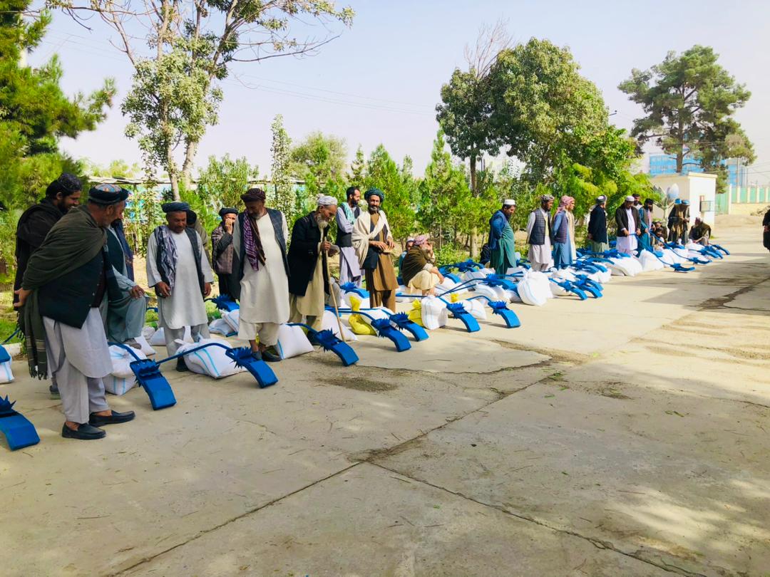 بلخ کې پر ۱۰۰ بزګرانو د شولو کرلو په پار مرسته ووېشل شوه