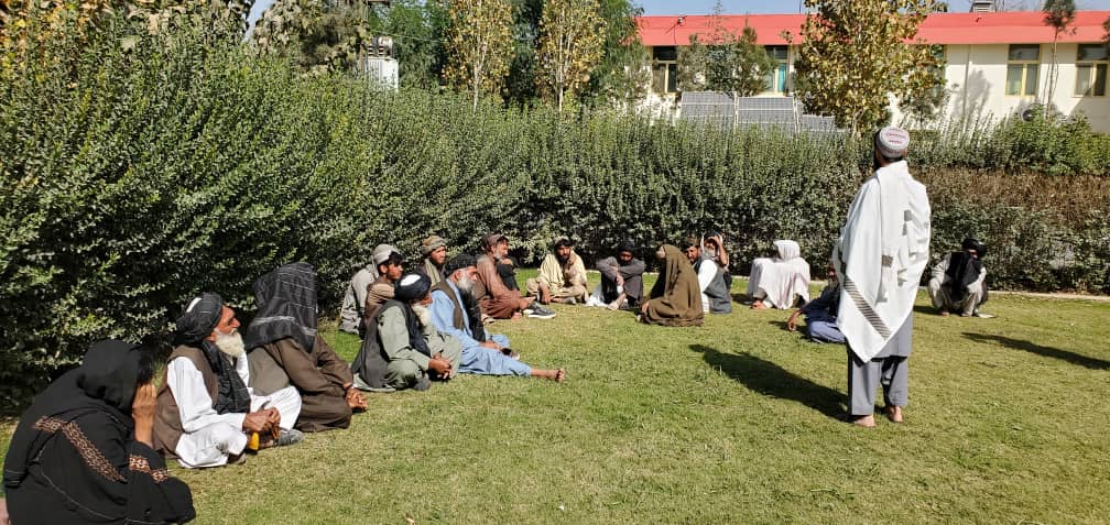 در ولایت کندهار صدها دهقان برای ایجاد مزارع نمایشی تخم‌های اصلاح‌شده گندم و کودهای کیمیاوی دریافت کردند