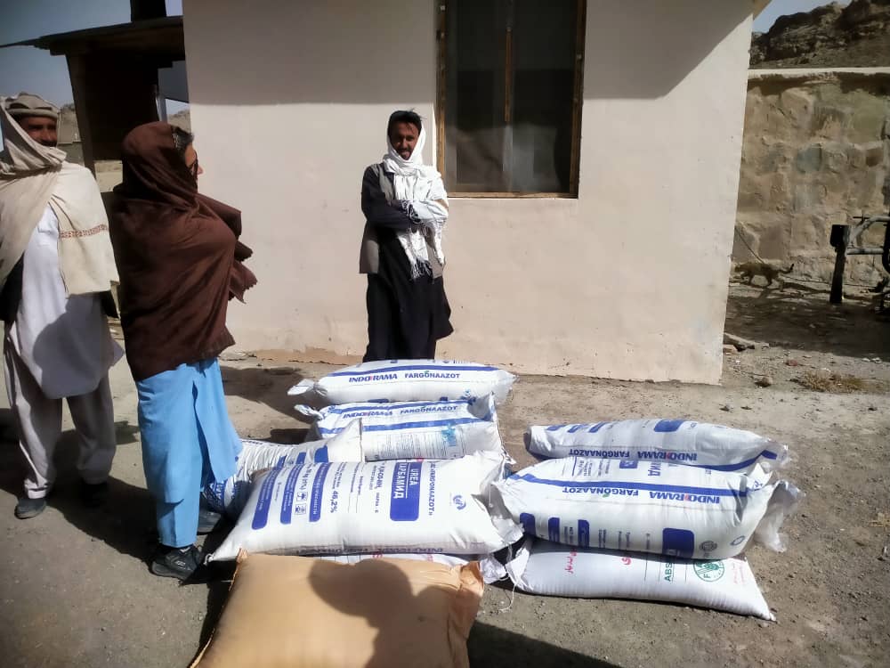 پکتیکا کې د غنمو ننداریزو کروندو جوړولو په پار پر یوشمېر بزګرانو مرستې ووېشل شوې 