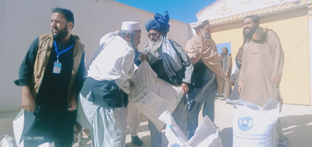 لوګر کې پر ۲۵۰۰ بزګرانو د اصلاح شويو غنمو  تخمونو او کيمياوي سرو وېش پيل شو