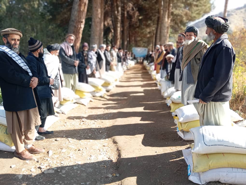 توزیع بسته‌های تخم بذری اصلاح‌شده برای ۹۶ دهقان در ولسوالی فرخار تخار آغاز شد