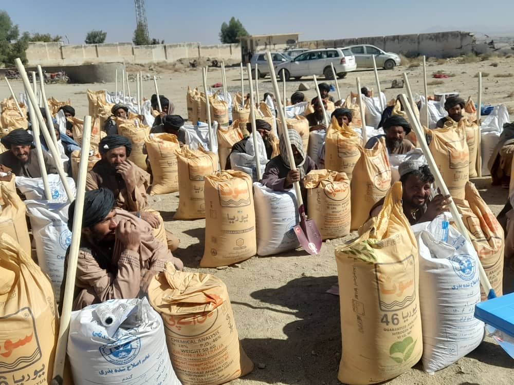 د کندهار درو ولسوالیو کې پر ۷۶۳ بزګرانو د غنمو اصلاح شوي تخمونه او کیمیاوي سرې ووېشل شوې