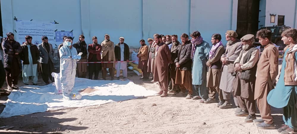 در نورستان برای دو هزار دهقان تخم‌های اصلاح‌شدهٔ گندم و کودهای کیمیایی توزیع شد