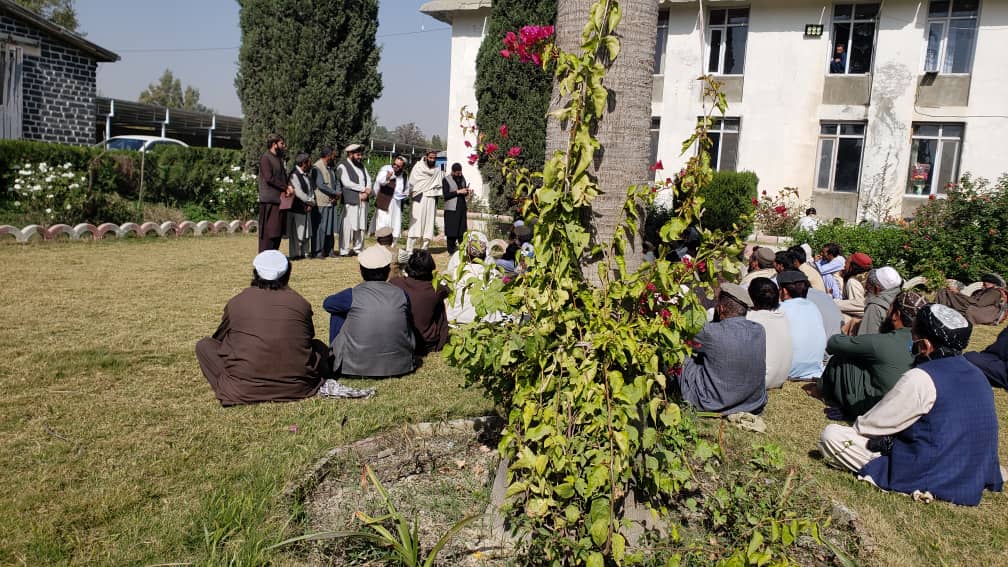 توزیع تخم‌های اصلاح‌شده گندم برای صدها دهقان در ولایت خوست آغاز شد