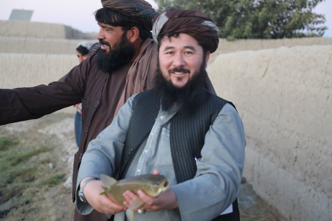 صنعت ماهی‌پروری در هلمند رو به رشد است؛ تولید ماهانه ۳۰ هزار کیلوگرام ماهی