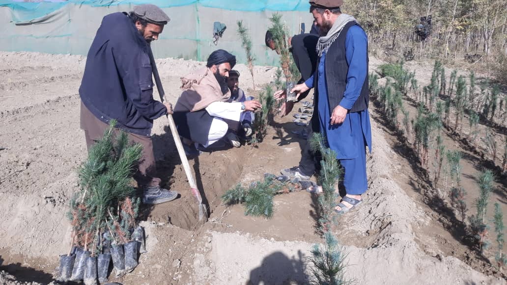 نظارت از پروژه احیا و احداث قوریه در ولایت کاپيسا