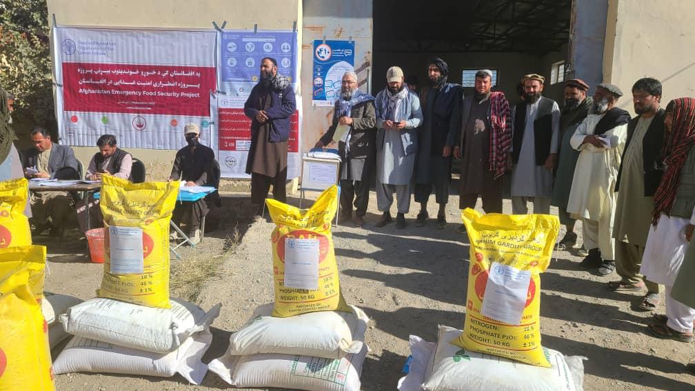 آغاز کمپاین خزانی توزیع تخم گندم اصلاح‌شده و کودهای کیمیاوی برای دهقانان ولایت کابل