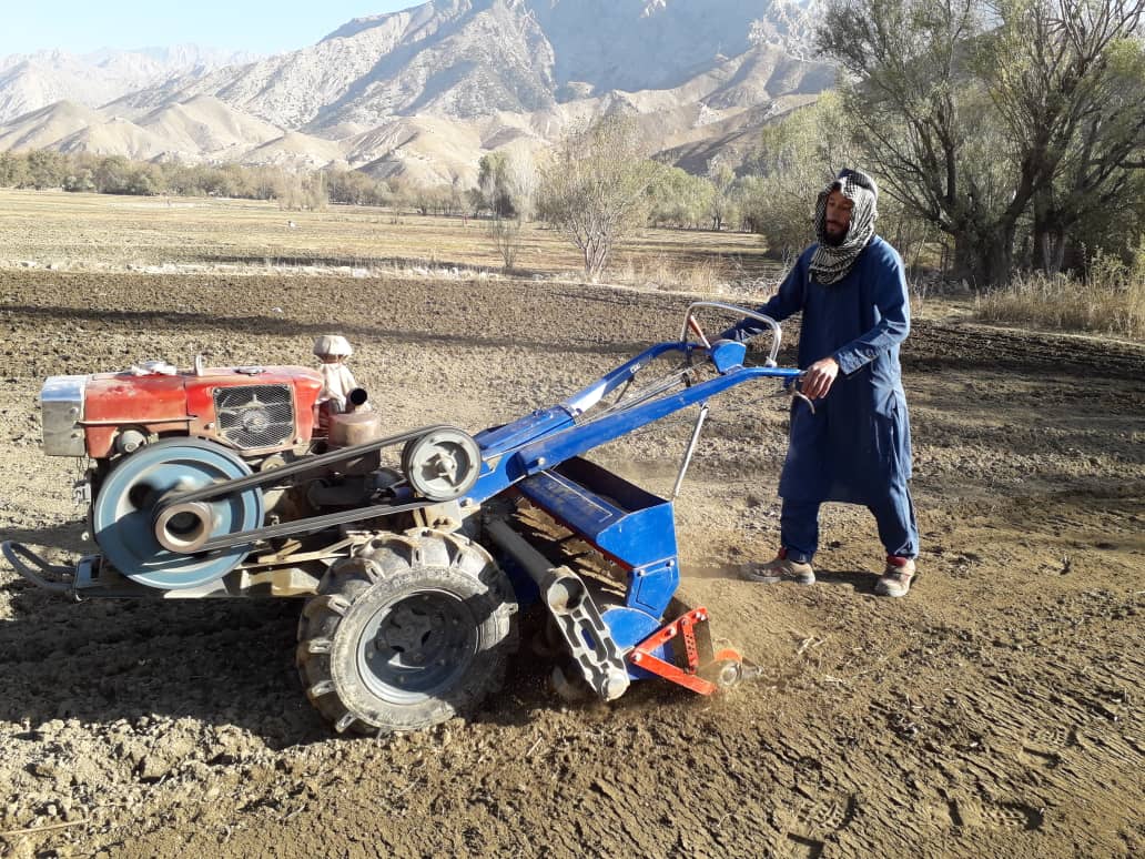 آغاز ترویج کشت قطاری گندم در ولایت پنجشیر